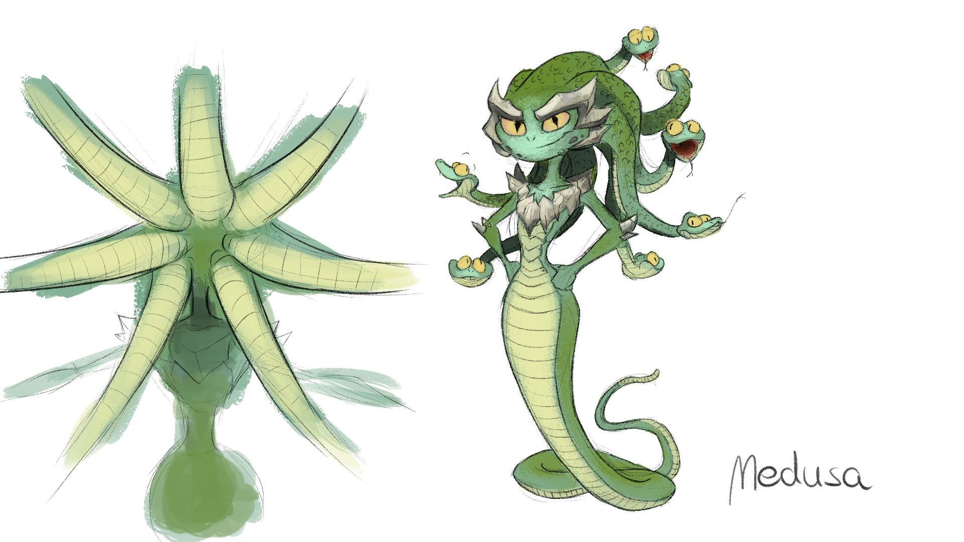 Medusa Concept
